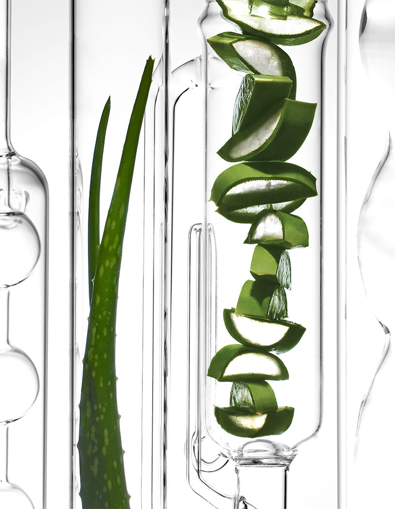 Clear glass container with sliced aloe vera inside